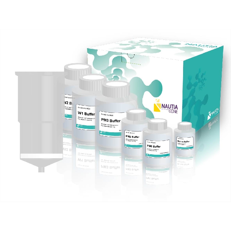 諾提亞生技 NautiaZ Plasmid DNA Extraction Midi Kit